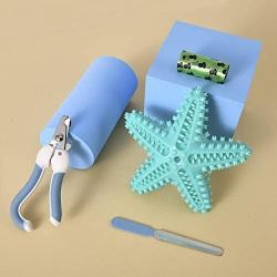 KJDJR Dog Toothbrush Stick, Starfish Dog Chew Toys Treat Dispensing Dog Toothbrush Toys for Medium Large Breed Interactive Training and Fun (Turquoise)