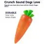 Petstages Crunchcore & Crunch Veggies Dog Chew Toy - Crunchy Cracking Sound Dogs Love