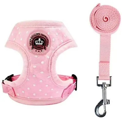 EXPAWLORER Soft Mesh Polka Dots Dog Harness with Matching Leash EXPAWLORER Soft Mesh Polka Dots Dog Harness with Matching Leash