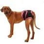 DONGXIONG Female Dog Shorts Puppy Physiological Pants Diaper Pet Underwear for Small Meidium Girl Dogs,Black,L