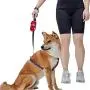 Blueberry Style 2021 New Red Dog Waste Bag Dispenser, Dog Poop Bag Holder Leash Attachment, Includes 1 Roll of Free Poop Bags Blueberry Style 2021 New Red Dog Waste Bag Dispenser, Dog Poop Bag Holder Leash Attachment, Includes 1 Roll of Free Poop Bags