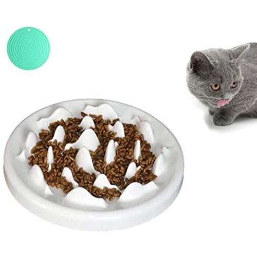 LORVOR Slow Feeder Bowl with Mat, Ceramic Interactive Slow Feeding Bowl Fins Design - Anti-gulping Slow Down Eating Prevent Choking Pet Bowl Feeder