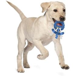 Doskocil JW Pet Ring Thing Toy