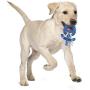 Doskocil JW Pet Ring Thing Toy
