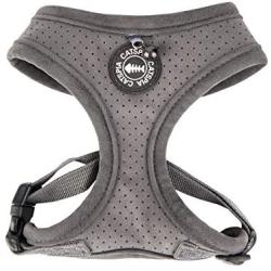 CATSPIA Lumi A Harness