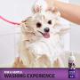 Poodlie All-Natural Gentle Puppy Shampoo - Extra-Sensitive Dog Shampoo for Small Dogs – Fresh Baby Scent - 16 oz.