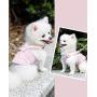Rantow Small Dogs Harness + Dogs Leash Rope Set - No Choke Puppy Cat Dog Front Vest Harnesses Walking Lead Outdoor for Pet Corgi Poodle Schnauzer Chihuahua Pomeranian Pugs Shih Tzu Bichon Frise