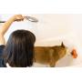 Bath Bones | Anxiety Bone Slow Feeder | Food Grade Material | Combats Dog’s Anxiety During Stressful Events | Great for Peanut Butter, Yogurt, Coconut Spread and More!