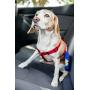 2PET Dog Seatbelt Strap Adjustable Dog Seat Belt for All for All Dog Breeds & Sizes Universal Dog Seat Belts Fit Seatbelt Latches of All Car Makes – 21” to 32” Dog Seatbelt - 2 Pack Choose Color