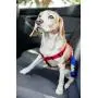 2PET Dog Seatbelt Strap Adjustable Dog Seat Belt for All for All Dog Breeds & Sizes Universal Dog Seat Belts Fit Seatbelt Latches of All Car Makes – 21” to 32” Dog Seatbelt - 2 Pack Choose Color 2PET Dog Seatbelt Strap Adjustable Dog Seat Belt for All for All Dog Breeds & Sizes Universal Dog Seat Belts Fit Seatbelt Latches of All Car Makes – 21” to 32” Dog Seatbelt - 2 Pack Choose Color