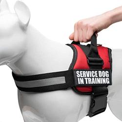 Industrial Puppy Service Dog In Training Vest With Hook and Loop Straps and Handle - Harnesses In Sizes From XXS to XXL - Service Dog Vest Harness Features Reflective Patch and Comfortable Mesh Design