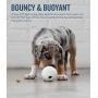 Planet Dog Orbee-Tuff Sports Balls - Treat Dispensing Dog Chew Toys