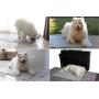 Trendy Den Creations - Washable Pee Pads for Dogs - Reusable Puppy Training Pads - 36''X48'' 2 Pack Dog Training Pads Extra Large - Dog or Cat Bed - Whelping Pads Dog Kennel or Crate Puppy Pee Pads