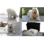 Trendy Den Creations - Washable Pee Pads for Dogs - Reusable Puppy Training Pads - 36''X48'' 2 Pack Dog Training Pads Extra Large - Dog or Cat Bed - Whelping Pads Dog Kennel or Crate Puppy Pee Pads Trendy Den Creations - Washable Pee Pads for Dogs - Reusable Puppy Training Pads - 36''X48'' 2 Pack Dog Training Pads Extra Large - Dog or Cat Bed - Whelping Pads Dog Kennel or Crate Puppy Pee Pads