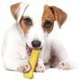 Nylabone Flavor Frenzy Power Chew Triple Pack