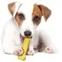 Nylabone Flavor Frenzy Power Chew Triple Pack Nylabone Flavor Frenzy Power Chew Triple Pack