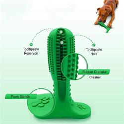 Ulalaza Cat Toothbrush Catnip Toy Kitten Teeth Cleaning Lobster Shape Chew Toy with Bell