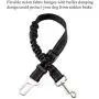 LUPAPA Dog Seat Belt for Vehicle Car (2-Pack), Adjustable Length Pet Seat Belt with Hook Lock and Seatbelt Buckle, Elastic Buffered Reflective Nylon for Shock Attenuation LUPAPA Dog Seat Belt for Vehicle Car (2-Pack), Adjustable Length Pet Seat Belt with Hook Lock and Seatbelt Buckle, Elastic Buffered Reflective Nylon for Shock Attenuation