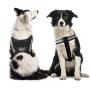 Bolux Service Dog Harness, Easy On and Off Pet Vest Harness - 3M Reflective Anti Pulling Tugging Choking Pet Halters with Nylon Handle for Small Medium Large Dogs
