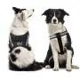 Bolux Service Dog Harness, Easy On and Off Pet Vest Harness - 3M Reflective Anti Pulling Tugging Choking Pet Halters with Nylon Handle for Small Medium Large Dogs Bolux Service Dog Harness, Easy On and Off Pet Vest Harness - 3M Reflective Anti Pulling Tugging Choking Pet Halters with Nylon Handle for Small Medium Large Dogs