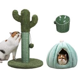 PetnPurr Cactus Cat Scratcher, Cactus Pet Condo and Ceramic Raised Food Bowl