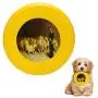Pet Frisbee Flying Disc Dog Toy - Multifunction Daniel in The Lions Den Briton Riviere