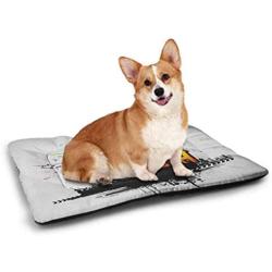 DayDayFun Youth Pet Mats for Dogs Black Silhouette of a Skater Man on Hand Drawn Style Spiral Hobby Activity Bite-Resistant Pet Mat Orange Green Black