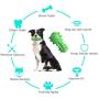 iBune Dog Chew Toy, Dog Toys, Dog Teeth Cleaning Stick, Squeaky Dog Chew Toothbrush Toys Natural Rubber Dental Care Chewing Cleaning Stick for Small Medium Dogs (Green)