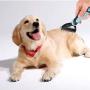 KABB Dogs Cats Pet Grooming Undercoat Rake with Dual Side for Easy Mats & Tangles Removing(Blue)
