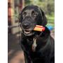 Soda Pup Dog Hot Dog Toy - Tough Dog Toys - Durable Dog Toys - Dog Chews For Aggressive Chewers - Chew Toy - Dog Toy Made In USA - Medium Dog Toys