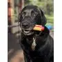 Soda Pup Dog Hot Dog Toy - Tough Dog Toys - Durable Dog Toys - Dog Chews For Aggressive Chewers - Chew Toy - Dog Toy Made In USA - Medium Dog Toys Soda Pup Dog Hot Dog Toy - Tough Dog Toys - Durable Dog Toys - Dog Chews For Aggressive Chewers - Chew Toy - Dog Toy Made In USA - Medium Dog Toys