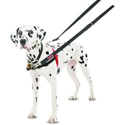 The Company of Animals Pet Harness