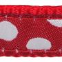 Red Dingo Dog Collar