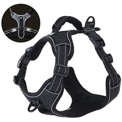 Rision Pet Dog Harness No-Pull Adjustable Pet Oxford Vest with 2 Leash Clips Soft Padded Dog Vest Reflective No-Choke with Easy Control Handle for Dogs