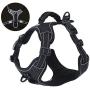 Rision Pet Dog Harness No-Pull Adjustable Pet Oxford Vest with 2 Leash Clips Soft Padded Dog Vest Reflective No-Choke with Easy Control Handle for Dogs