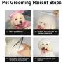 Professional Dog Grooming Scissors with Safety Round Tip - Heavy Duty Stainless Steel Grooming Scissors for Dogs Cat Pet - Pet Grooming Scissors Kit 6 Pcs for Cat Dog Grooming