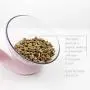 ZEXPRO Transparent Plastic Bowl Elevated Stand Detachable for Cats and Small Dogs with Anti Slip Tilted Design 15 Degree Pet Food Water Feeder ZEXPRO Transparent Plastic Bowl Elevated Stand Detachable for Cats and Small Dogs with Anti Slip Tilted Design 15 Degree Pet Food Water Feeder