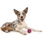 West Paw Zogoflex Air Boz Dog Toy – Floatable Pet Ball for Dogs, Fetch, Play, Chewing – Non-Toxic, Recyclable, Latex-Free Canine Toys – Durable Exterior Texture, Bouncy Squishy Ball, Made in USA