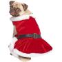 Parisian Pet Dog Cat Pet Xmas Holiday Christmas Mrs Claus and Santa Claus Winter Dress