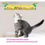 VARWANEO Catnip Toys,cat Toy,Multifunctional Turntable, Bump pad, Built-in Luminous Ball, high-Content Catnip Ball, Develop Intelligence with Fun VARWANEO Catnip Toys,cat Toy,Multifunctional Turntable, Bump pad, Built-in Luminous Ball, high-Content Catnip Ball, Develop Intelligence with Fun