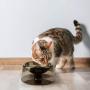 Raised cat Food Bowl, 0-22° Adjustable Tilted Dog Bowl Elevated with Stand, Enhanced pet Dish Feeding Food and Water for Cats and Small Dogs