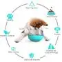 colapets Slow Feeder Dog Bowl Slow Feeder Stop Bloat for Dogs