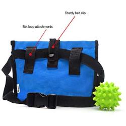 Wellbro Dog Treat Pouch, Handy Pet Training Waist Bag with Fast Spring Hinge and Front Pocket, Easy to Carry Treats and Toys, for Rapid Reward to Pets