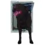 Ideal Pet Products Designer Ruff Weather Alarm Alert Pet Door Ideal Pet Products Designer Ruff Weather Alarm Alert Pet Door