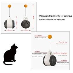 SUDUN Cat Toy Chaser, Creative Tumbler Cat Chasing Toy with Catnip Ball 360 Degree Rotation Ball Cat Training Toy Interactive Cat Swing Toy Suitable for Indoor Cat Educational Toys