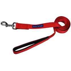 Downtown Pet Supply Strong Durable Dog Leash Lead - Best Big Dog Training Leashes, Heavy Duty Long Nylon Leash