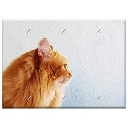 Triple Blank Wall Plate Cover - Cat Redhead Fluffy Cat Pet Cat Looking Animals