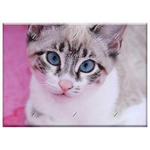 Triple Blank Wall Plate Cover - Cat Thai Cat Siamese Cat Pet Domestic Cat Triple Blank Wall Plate Cover - Cat Thai Cat Siamese Cat Pet Domestic Cat