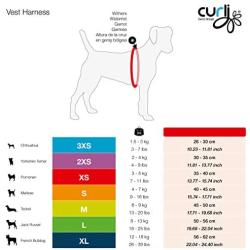 Curli Vest Harness Softshell with Air-Mesh Lining Step-in Dog Harness Lightweight Breathable Dog Harnesses for Small Medium Dogs