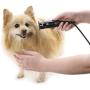 Oster Pro Trimmer with Tug-Free T-Blade
